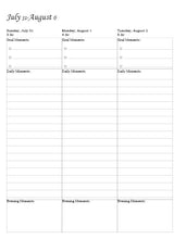 Load image into Gallery viewer, Mindful Moments Planner 5784 (August 2023-August 2024), Field of Dreams